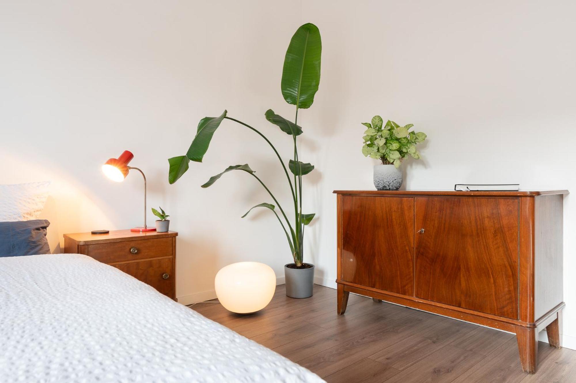 Luxurioeses Apartment, 10Min Innenstadt, Parkplatz Erfurt Buitenkant foto